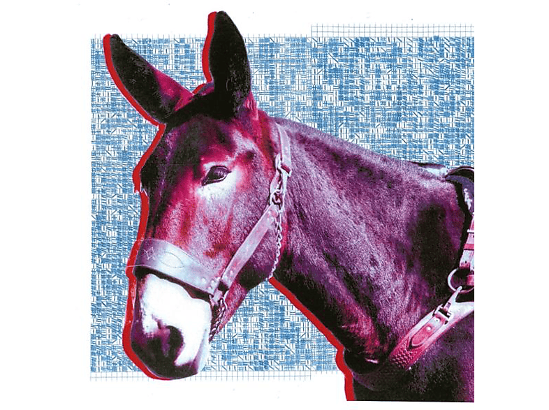 Protomartyr - Ultimate Success Today (CD) von DOMINO REC