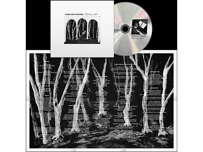 These New Puritans - Crooked Wing (CD) von DOMINO REC