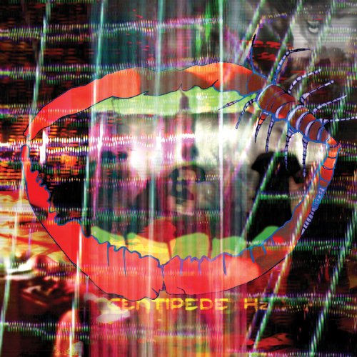 Centipede Hz [Vinyl LP] von DOMINO
