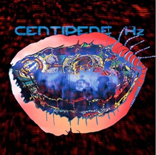 Centipede Hz von DOMINO