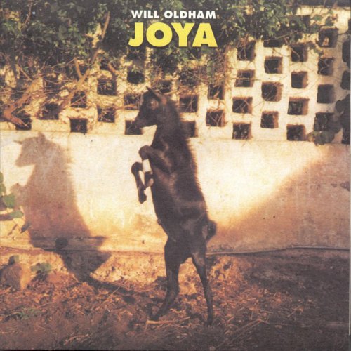 Joya [Vinyl LP] von DOMINO