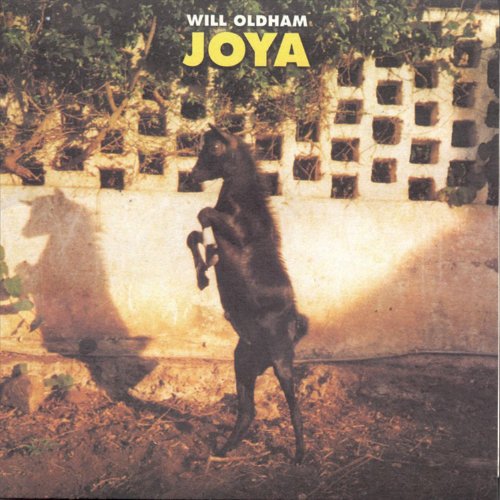 Joya [Vinyl LP] von Domino Records