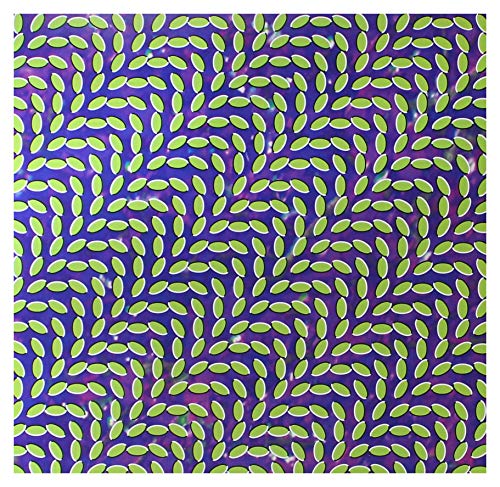 Merriweather Post Pavilion [Vinyl LP] von DOMINO