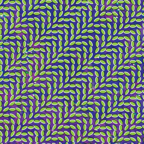 Merriweather Post Pavilion [Vinyl LP] von DOMINO