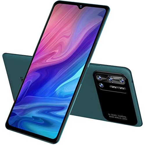 DOOGEE N40 PRO Android 11 Smartphone Ohne Vertrag, Helio P60 Octa-Core 6GB+128GB,6.52'' HD+ Handy,6380mAh Akku, 20MP Quad-Rückfahrkamera, 16MP Frontkamera, Fingerabdruck DUAL SIM GPS Grün von DOOGEE