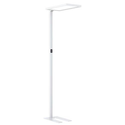 DOTLUX 5032-040240 LED-Stehlampe DOTLUX 5032-040240 LED-Stehlampe von DOTLUX