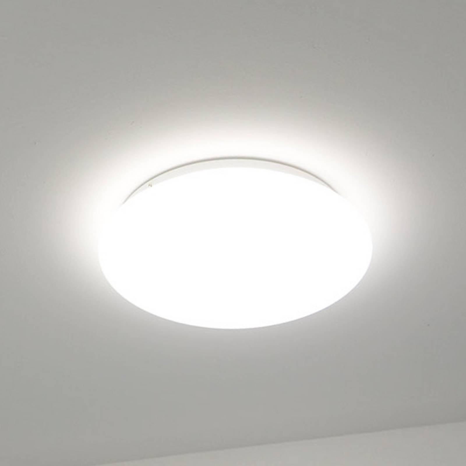 DOTLUX LED-Deckenleuchte LUNA, weiß, Ø 33 cm, PMMA, CCT IP44 DOTLUX LED-Deckenleuchte LUNA, weiß, Ø 33 cm, PMMA, CCT IP44 von DOTLUX