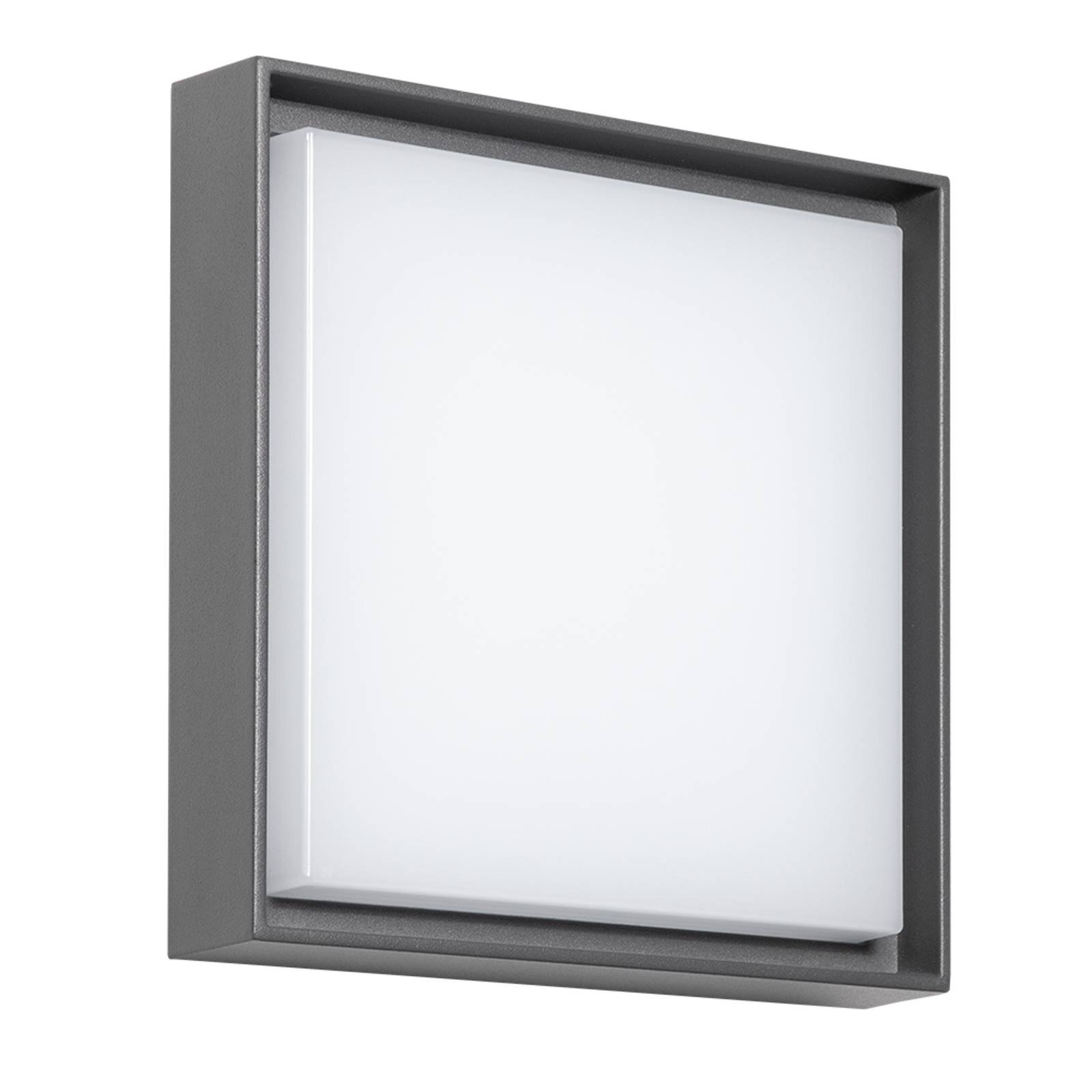 DOTLUX WALLsquare LED-Außenleuchte, dunkelgrau, 25 x 25 cm DOTLUX WALLsquare LED-Außenleuchte, dunkelgrau, 25 x 25 cm von DOTLUX