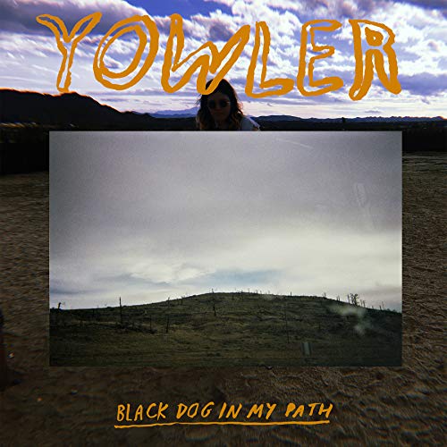 Black Dog in My Path [Vinyl LP] von DOUBLE DOUBLE WHAMMY