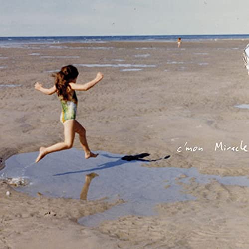 C'Mon Miracle [Vinyl LP] von DOUBLE DOUBLE WHAMMY