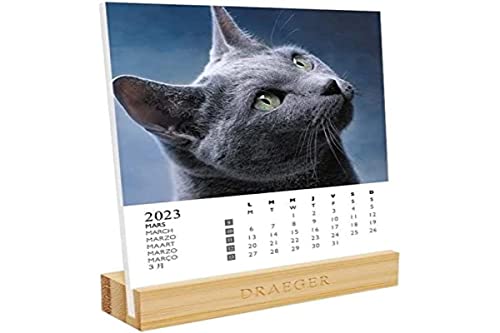 Draeger Paris - Calendrier sur socle Chats - 2023 von DRAEGER PARIS 1886