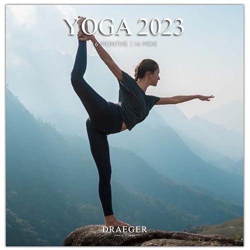 Draeger Paris - Grand calendrier mural Yoga - 2023 von DRAEGER PARIS 1886