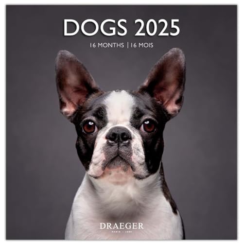 DRAEGER PARIS 1886 - Großer Wandkalender 29 x 29 cm 2025 – 7 Sprachen – September 2024 bis Dezember 2025 – 12 Fotos in verschiedenen Themen – Hunde – Termine, Geburtstage von DRAEGER