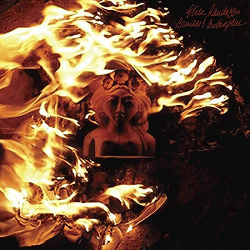 Bruises & Butterflies von DRAG CITY