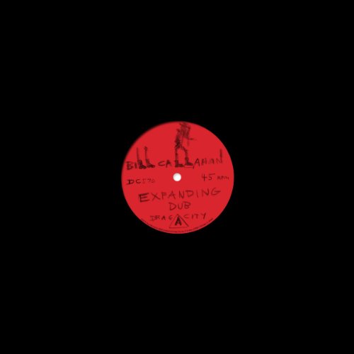 Expanding Dub [Vinyl Maxi-Single] von DRAG CITY