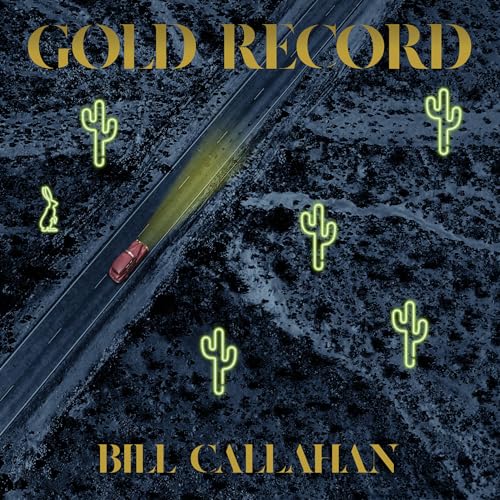 Gold Record [Vinyl LP] von DRAG CITY