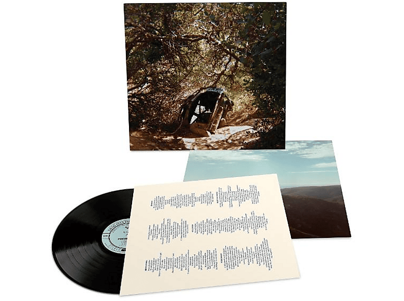 Ty Segall - POSSESSION (Vinyl) von DRAG CITY