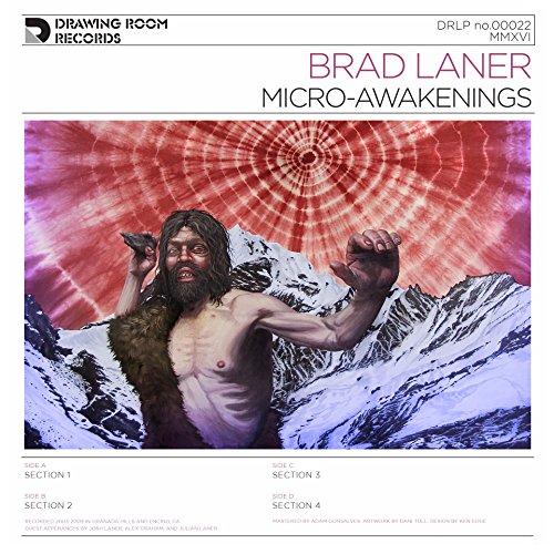 Micro-Awakenings [Vinyl LP] von DRAWING ROOM RECORDS