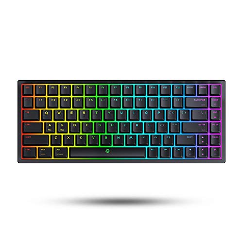 DREVO Gramr V2 TE 84-Tasten-Spieletastatur Rot Schalter RGB-Hintergrundbeleuchtung Mechanische TKL 75% USB Drahtgebundene Tastatur US Layout von DREVO