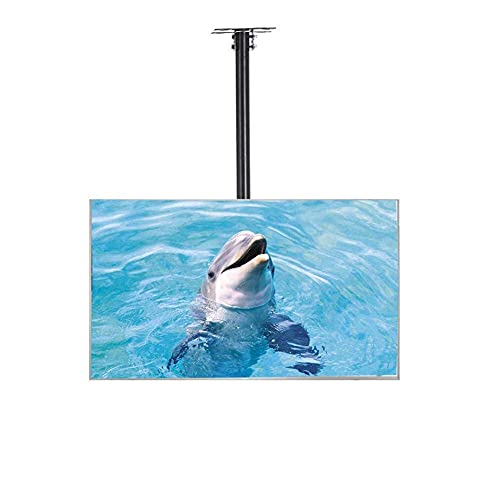 Display-Halterung, TV-Halterung, Decken-TV-Halterung, verstellbare Höhe, voll beweglich, um 360° schwenkbar, passend für die meisten 81,3–139,7 cm (32-55 Zoll) LCD-, LED-Plasma-Monitore von DRFGNF