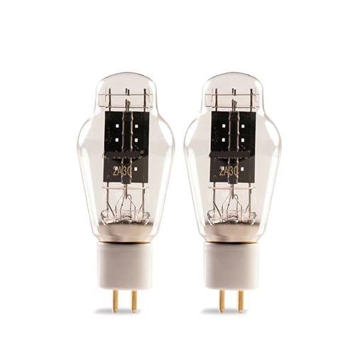 2A3C 2A3 Rohr ersetzt WE2A3 2A3 HiFi Audio Rohr verstärker kit(2 pcs) von DRJBBODVQ