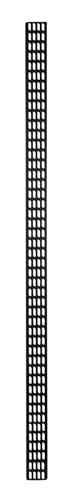 47HE vertikale Kabelführungsleiste - 30 cm breit 47HE vertikale Kabelführungsleiste - 30 cm breit von DSIT