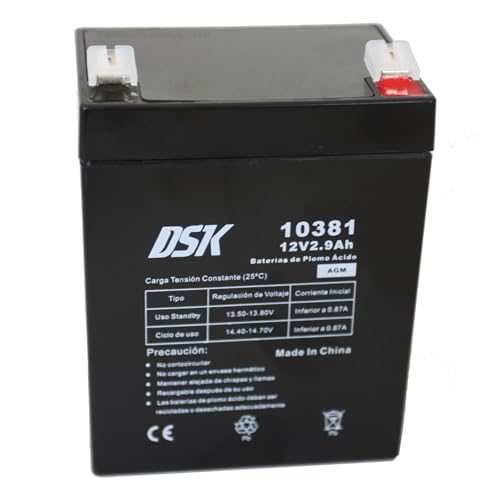 DSK 10381 - Versiegelte wiederaufladbare AGM-Bleibatterie 12V mit 2,9Ah. Ideal für Auto- und Elektromotorräder für Kinder, Motorroller, USV-Systeme, Sicherheits- und Kommunikationssysteme… von DSK