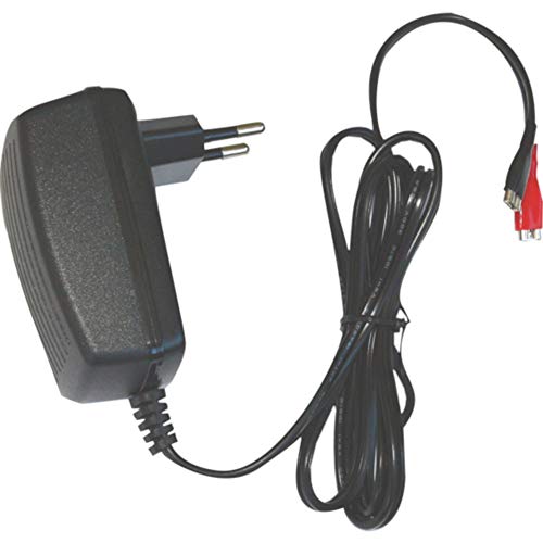 DSK 6876 bc-6500 – 6 V-Ladegerät für Akku Blei Auto, Schwarz von DSK