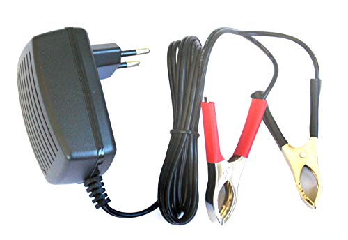 DSK 6879 – Ladegerät Akku Blei Auto bc-12sl, Schwarz von DSK