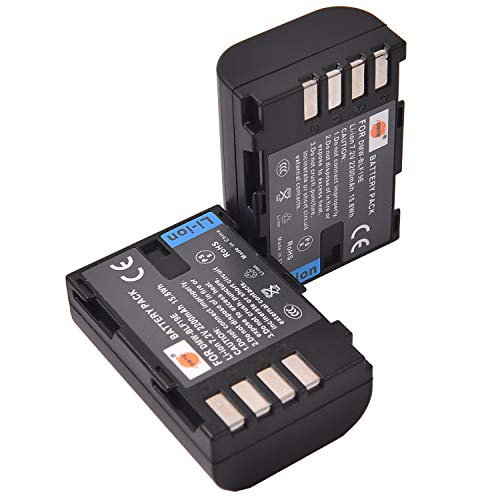 (2-Pack) DMW-BLF19E DSTE Ersatz Batterie Akku Kompatibel für DMW-BLF19 und Panasonic Lumix DMC-GH3,DMC-GH3GK,DMC-GH3H,DMC-GH3HGK,DMC-GH3K Body,DMC-GH4H,DMC-GH4 Kamera von DSTE DE