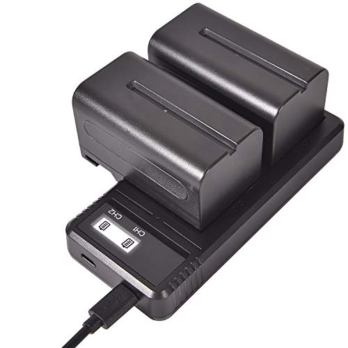 (2 Pack) NP-F750 DSTE Ersatz Batterie + Schnellladung Dual LCD Ladegerät Kompatibel mit Sony NP-F730 NP-F770 CCD-SC5 CCD-TRV80PK DCR-TRV820 CCD-SC55 CCD-TRV81 DCR-TRV820K CCD-SC65 Kamera von DSTE DE