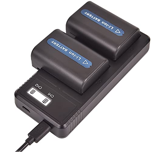 (2 Pack) NP-FM55H DSTE Ersatz Batterie + Schnellladung Dual LCD Ladegerät Kompatibel mit NP-FM50 NP-FM30 NP-FM51 CCD-TR108,TR208,TRV116,TRV118,TRV126,TRV128,TRV138 Kamera,npf Akkuladegerät von DSTE DE