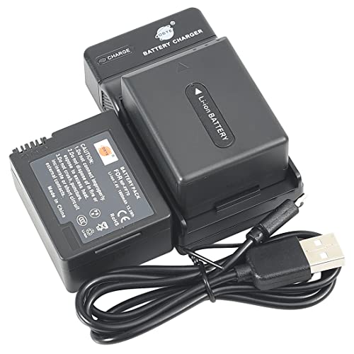DSTE (2-Pack) Li-Ionen Batterie und Micro USB Ladegerät Anzug kompatibel mit Sony NP-FF70 NP-FF71 NP-FF71S DCR-HC1000 DCR-HC1000E DCR-IP1 DCR-IP1E DCR-IP1K DCR-IP200K DCR-IP210E Kamera von DSTE DE