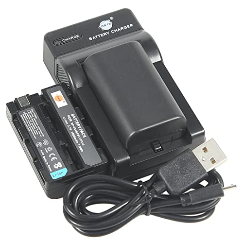 DSTE (2-Pack) Li-Ionen Batterie und Micro USB Ladegerät Anzug kompatibel mit Sony NP-FS11 NP-FS10 NP-FS12 DCR-PC1 DCR-PC2 DCR-PC3 DCR-PC4 DCR-PC5 DCR-TRV1VE Kamera von DSTE DE