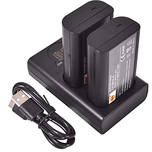 DSTE 2X DMW-BLJ31 Ersatz Batterie + Duales USB-Ladegerät mit LCD-Display Kompatibel mit DMW-BLJ31e und Panasonic LUMIX S1, LUMIX S1R, LUMIX S1H, DMW-BGS1R DSTE 2X DMW-BLJ31 Ersatz Batterie + Duales USB-Ladegerät mit LCD-Display Kompatibel mit DMW-BLJ31e und Panasonic LUMIX S1, LUMIX S1R, LUMIX S1H, DMW-BGS1R von DSTE DE
