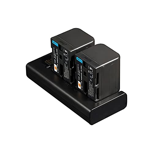DSTE 2X NP-FM70 Ersatz Batterie + Duales USB-Ladegerät mit LCD-Display Kompatibel mit NP-QM71D NP-QM71 DCR-PC115 DCR-PC120 DCR-PC330 DCR-TRV25 DCR-TRV27 DSTE 2X NP-FM70 Ersatz Batterie + Duales USB-Ladegerät mit LCD-Display Kompatibel mit NP-QM71D NP-QM71 DCR-PC115 DCR-PC120 DCR-PC330 DCR-TRV25 DCR-TRV27 von DSTE DE