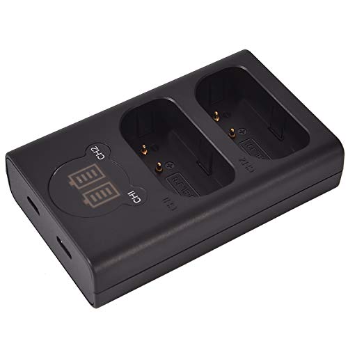 DSTE Dual USB Ladegerät mit LCD-Display Kompatibel für Panasonic DMW-BLJ31 DMW-BLJ31e - Versorgung über USB-Kabel vom Typ C zum USB-A 2.0-Stecker DSTE Dual USB Ladegerät mit LCD-Display Kompatibel für Panasonic DMW-BLJ31 DMW-BLJ31e - Versorgung über USB-Kabel vom Typ C zum USB-A 2.0-Stecker von DSTE DE