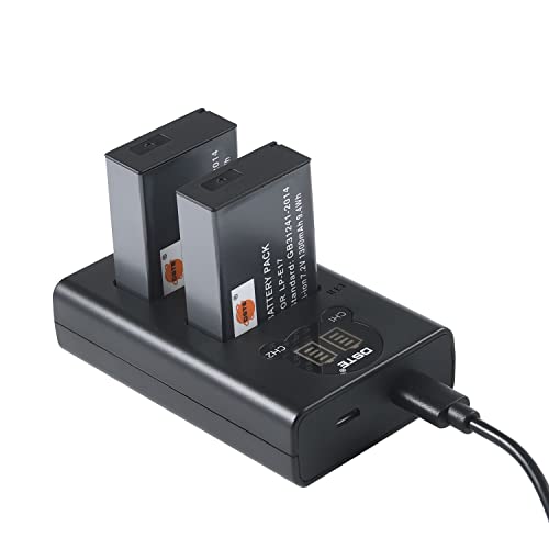 DSTE LP-E17 Kameraakkus, 2 Pack 1300mAh Batterie Ladegerät Ladeset kompatibel für Canon EOS M3, M5, 8000D, 9000D, Kiss X8i, Rebel T6i, Rebel T6s Digital SLR Kameras(USB Type-C und USB-A 2.0 Port) von DSTE DE
