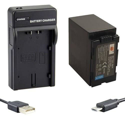 DSTE Li-Ionen Batterie und Micro USB Ladegerät Anzug kompatibel mit Panasonic CGA-D54, CGA-D54S, CGR-D54S, AG-DVC180A, AG-DVC30, AG-DVC60 von DSTE DE
