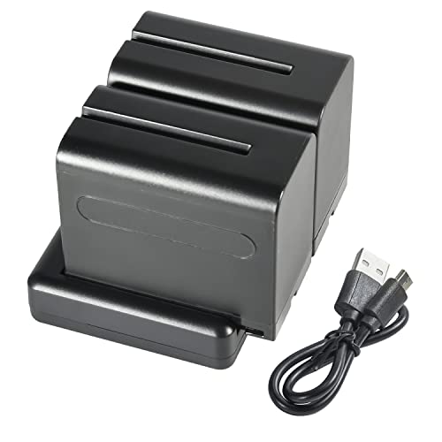 DSTE NP-F970 F950 (2 Stück) Wiederaufladbarer Akku Ersatzakku und Dual Ladegerät Kompatibel mit Sony NP-F960, F550, F530, F330, F570, CCD-SC55 von DSTE DE