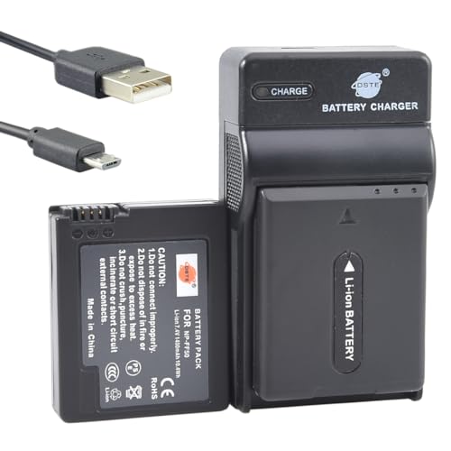 DSTE NP-FF50 Li-Ionen Batterie (2-Pack) und Micro USB Ladegerät Anzug kompatibel mit Sony DCR-HC1000 DCR-IP1 IP1E IP1K DCR-IP200K IP220K DCR-IP45E DCR-IP55 DCR-IP55E DCR-IP5E DCR-IP7 von DSTE DE