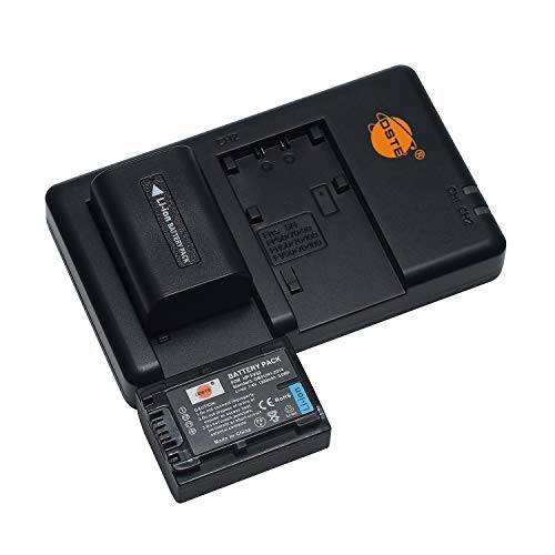 DSTE NP-FV50 (2 Stück) Wiederaufladbarer Akku Ersatzakku und Dual Ladegerät Kompatibel mit Sony HDR-CX220, CX230, CX290, CX330, CX380, CX430V, CX900, CX260V, CX580V, CX760V, PJ200 Kamera usw von DSTE DE