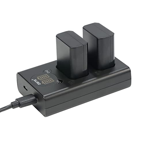 DSTE NP-FW50 Kameraakkus, 2 Pack 1950mAh Batterie Ladegerät Ladeset kompatibel für Sony DSC-RX10 A6500 A6300 A6000 A5100 A7II A7RII A7SII A7S A7S2(USB Type-C und USB-A 2.0 Port) von DSTE DE