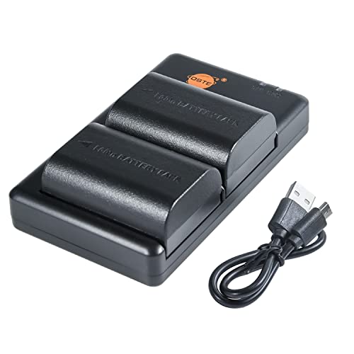 LP-E6N (2 Stück) Wiederaufladbarer Akku Ersatzakku und Dual Ladegerät Kompatibel mit LP-E6NH, LP E6N, Canon EOS R, EOS R5, EOS R6, XC10, XC15, EOS 5C Kameras as LP-E6 von DSTE DE