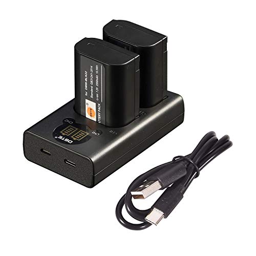 DSTE DMW-BLK22 Wiederaufladbare Batterie (2-Pack) und Smart LED Dual USB Ladegerät Kompatibel mit Panasonic Lumix S5 DC-S5K DC-S5GK von DSTE Electron