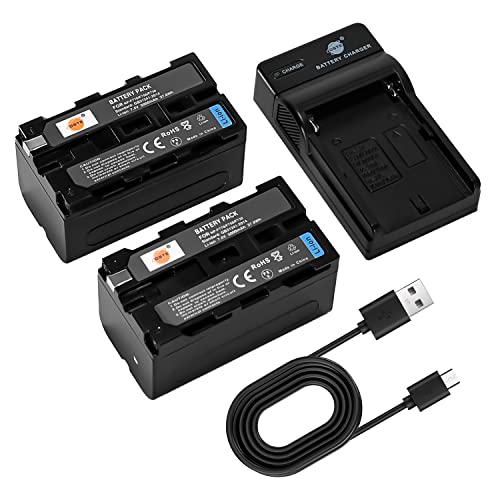DSTE NP-F750 Kamera Akku (2 Pack) und Ladegerät kompatibel mit Sony CCD-TR710 CCD-TR713E CCD-TR716 CCD-TR717 CCD-TR717E CCD-TR718 CCD-TR718E CCD-SC65 CCD-SC7 CCD-SC7/E CCD-SC8/E CCD-SC9 von DSTE Electron