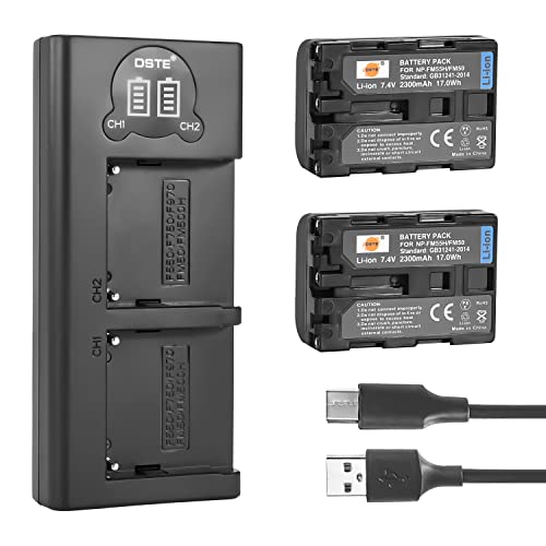 DSTE NP-FM50 Ersatzakku (2er Pack) und Smart LED Dual USB-Ladegerät Kompatibel mit Sony CCD-TRV108, CCD-TRV116, CCD-TRV118, CCD-TRV126, CCD-TRV128, CCD-CCD-TRV138, CCD-TRV208, CCD-TRV308 von DSTE Electron