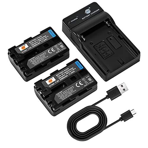 DSTE NP-FM50 Kamera Akku (2 Pack) und Ladegerät kompatibel mit Sony NP-FM30, CCD-TRV126 CCD-TRV128 CCD-TRV138 CCD-TRV208 CCD-TRV218 CCD-TRV228 CCD-TRV238 von DSTE Electron
