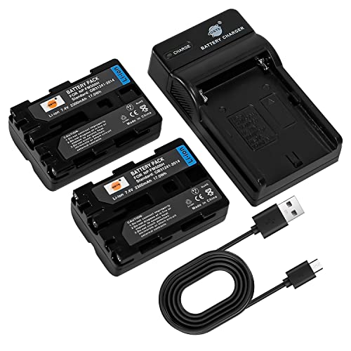 DSTE NP-FM500H Kamera Akku (2 Pack) und Ladegerät kompatibel mit Sony a700,Alpha a58,DSLR-A100,DSLR-A100K,DSLR-A200,DSLR-A200K,DSLR-A200W,DSLR-A200WB,DSLR-A300 von DSTE Electron