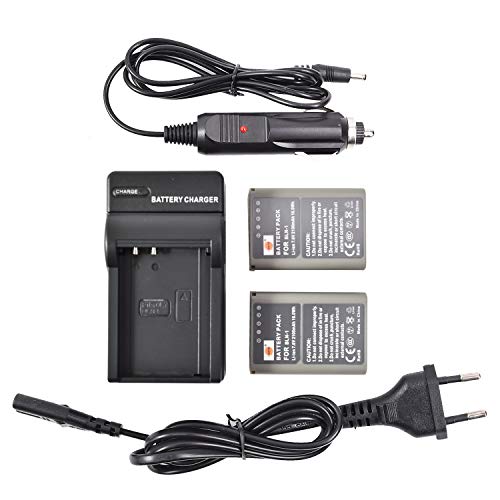 DSTE（2 Pack） BLN-1 Ersatz Batterie + DC133E Reise Ladegerät Kompatibel für Olympus E-M1 E-M5 OM-D Pen E-P5 Mark II Kamera als BLN1 BCN-1 von DSTE